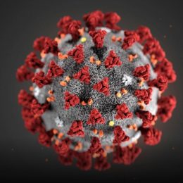 Koronavirus COVID-19 a nemovitosti