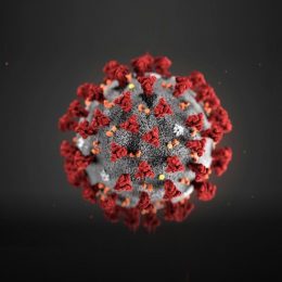Koronavirus COVID-19 a nemovitosti